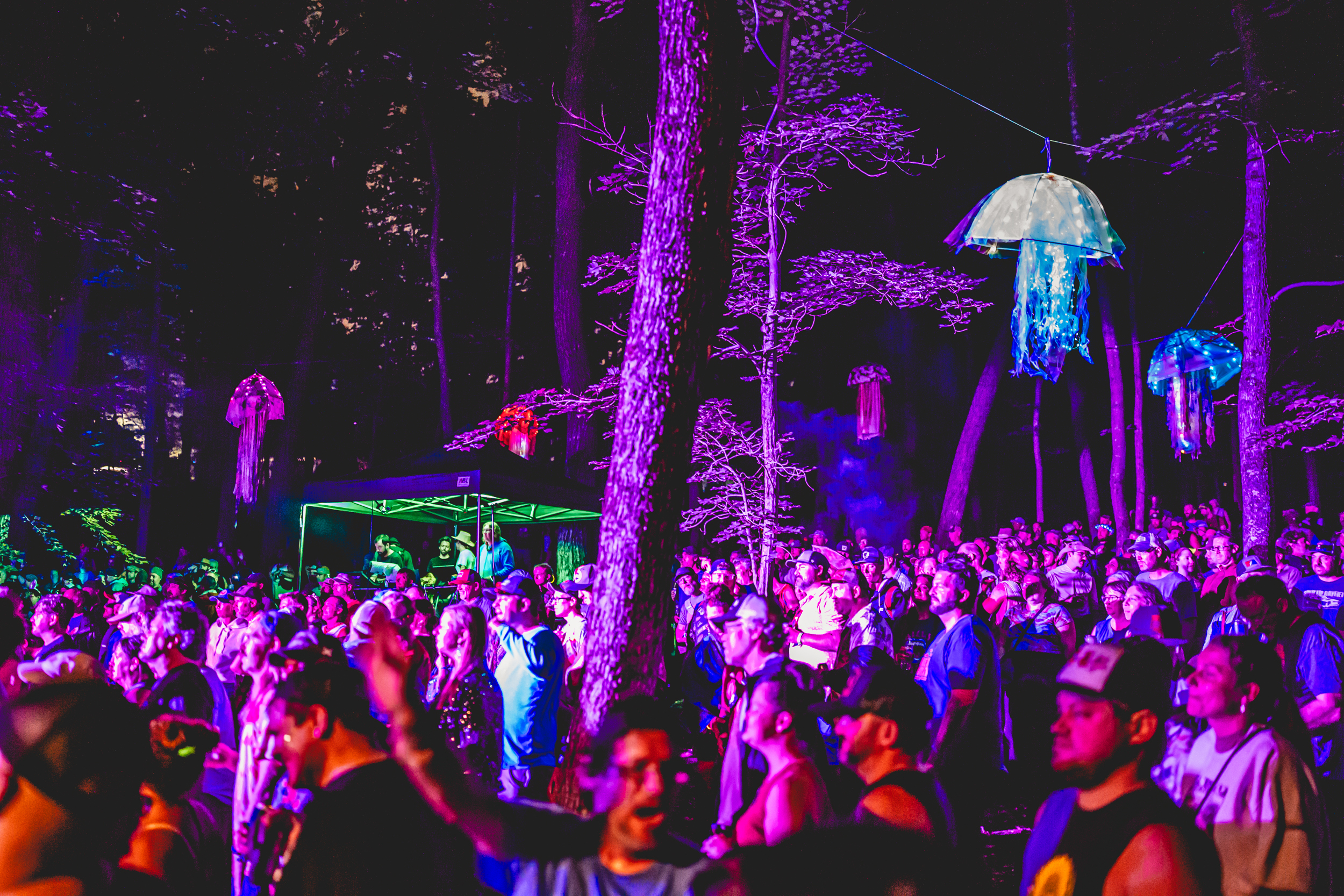 concert goers in woods watching show