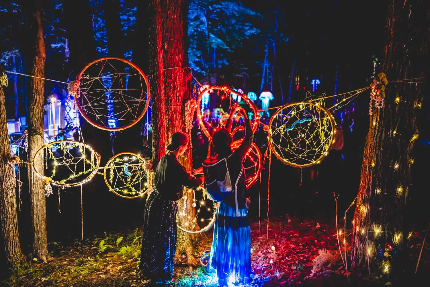 String Cheese Incident STI The Pines Music Park