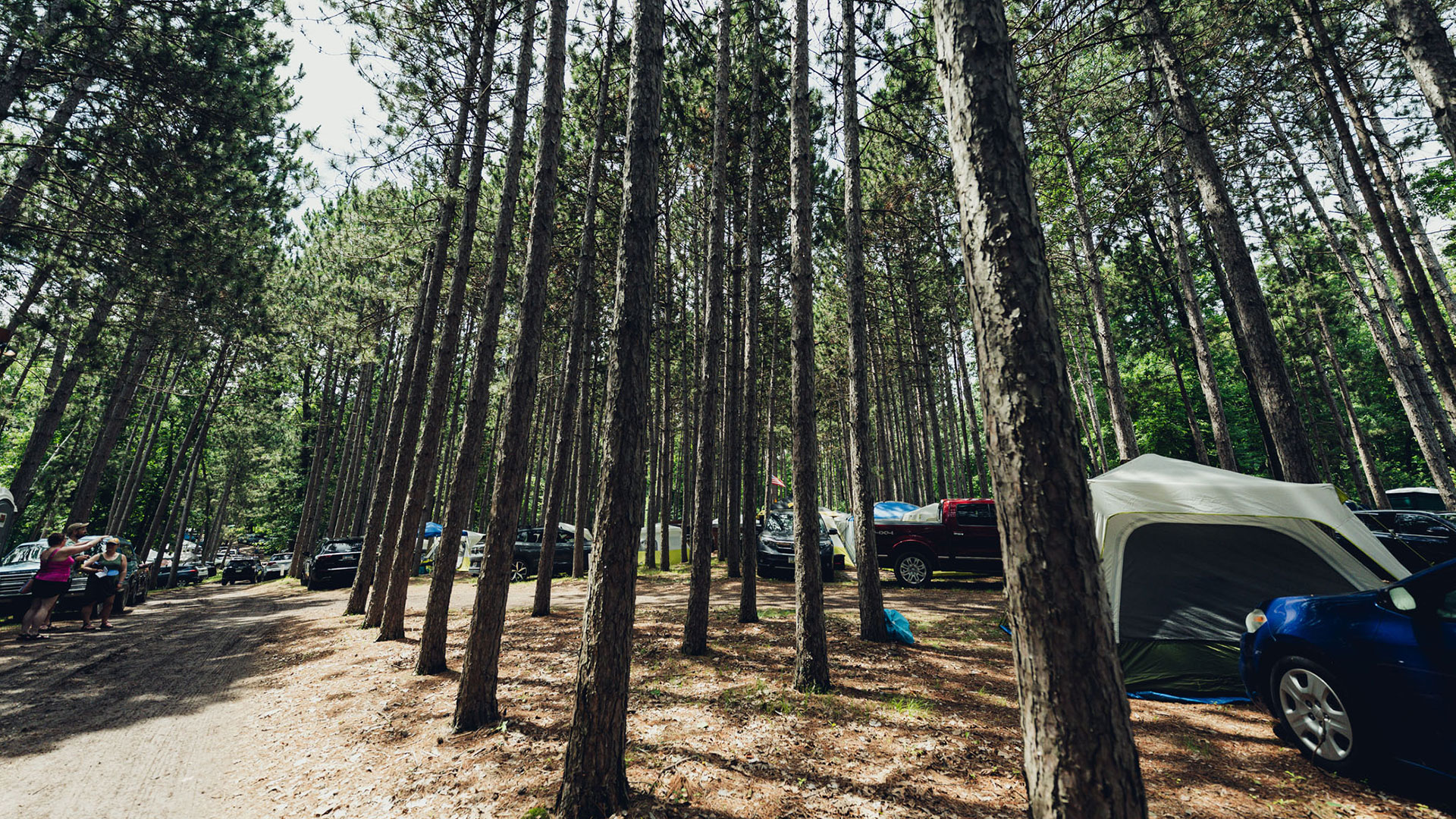 The Pines Music Park — photo 8